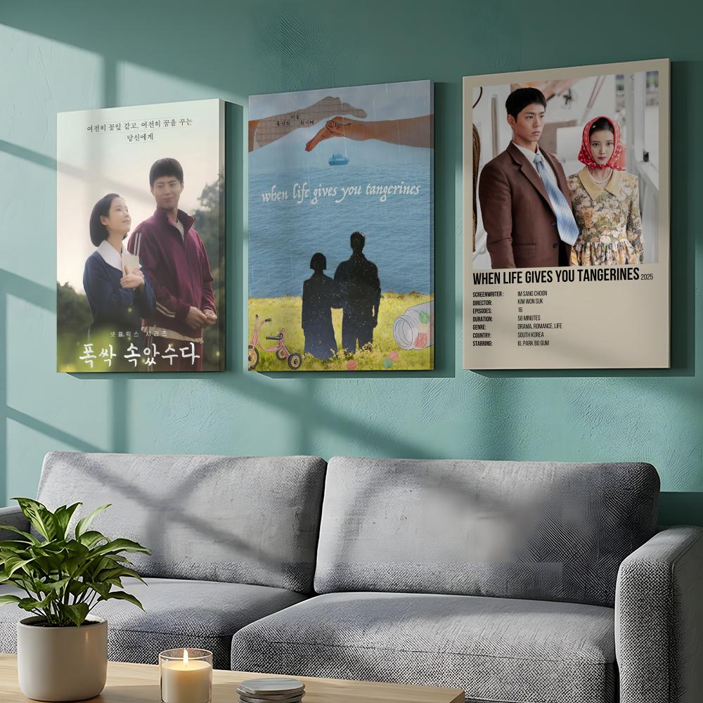 Korean TV When Life Gives You  - Korean Arts And Lifestyle review and price